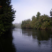Bucking Rainbow Outfitters | Steamboat Springs, CO | Chile fly fishing photo Gallery