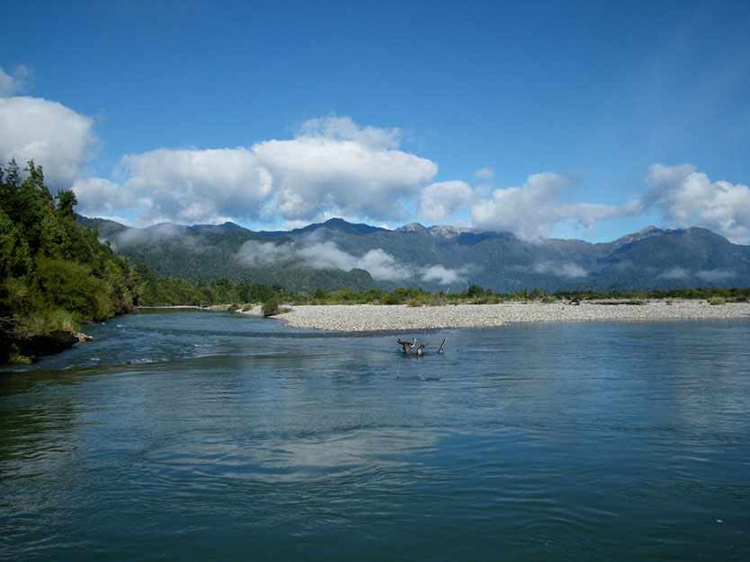 Bucking Rainbow Outfitters | Steamboat Springs, CO | Chile fly fishing photo Gallery