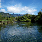 Bucking Rainbow Outfitters | Steamboat Springs, CO | Chile fly fishing photo Gallery