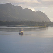 Bucking Rainbow Outfitters | Steamboat Springs, CO | Chile fly fishing photo Gallery