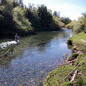 Bucking Rainbow Outfitters | Steamboat Springs, CO | Chile fly fishing photo Gallery