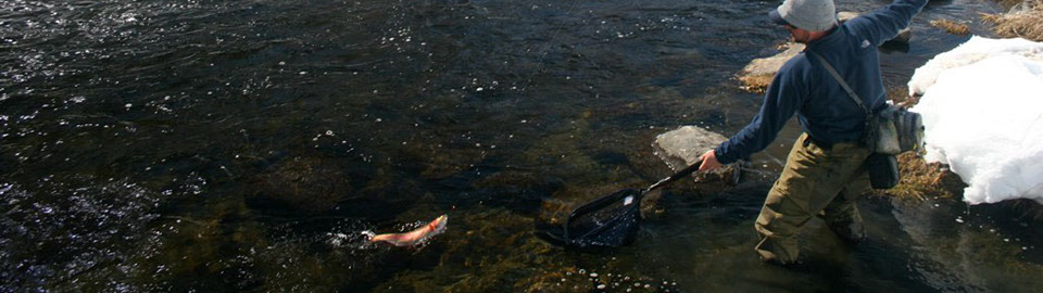 Bucking Rainbow Outfitters | Steamboat Springs, CO | fly fishing photo Gallery