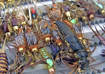 Bucking Rainbow Outfitters | Steamboat Springs, CO |&nbsp; fishing photo slideshow