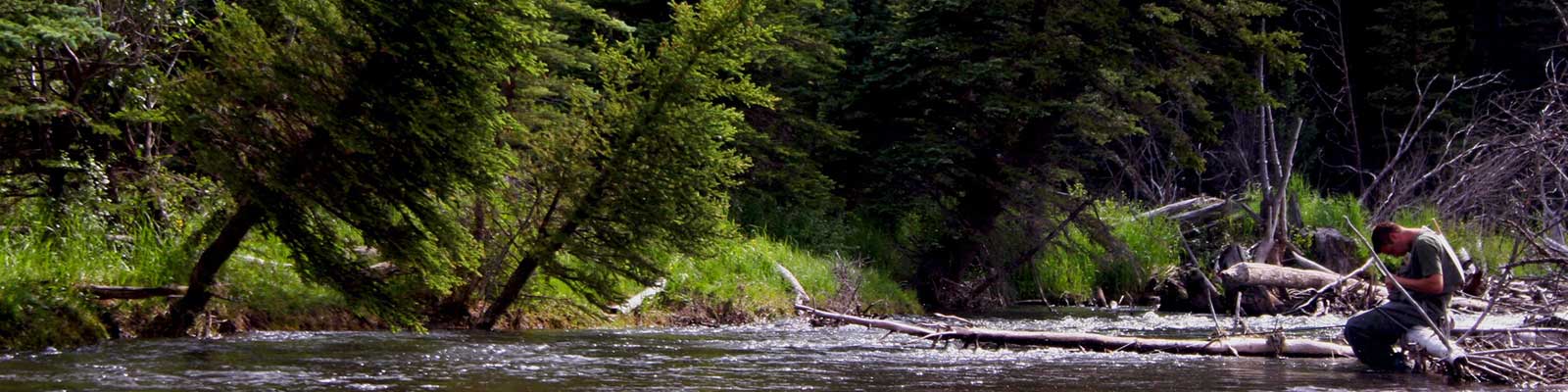 Bucking Rainbow Outfitters | Steamboat Springs, CO | header scenic photo slideshow